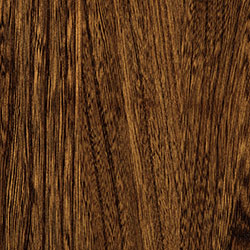 Elm - PCL Tavern (D22N11696)