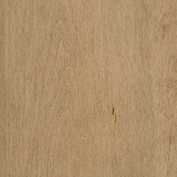Hard Maple - PCL Amaretto (D22N13209)