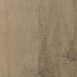Hard Maple - PCL Bel Air (D22N11673)