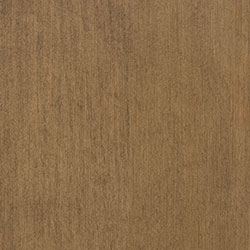 Hard Maple - PCL Cappuccino (D22N12019)
