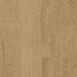 Hard Maple - PCL Sand (D22N10202)
