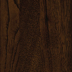 Hickory - PCL Briar (D22N11674)