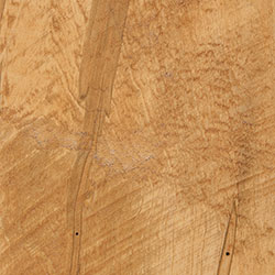 Rough Sawn Wormy Maple - PCL Honey (D22N13037)
