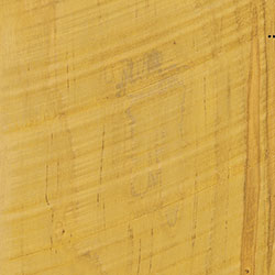 Rough Sawn Wormy Maple - PCL Lemon (D22Y00320)