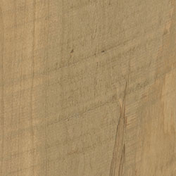 Rough Sawn Wormy Maple - PCL Sand (D22N10202)