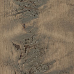 Rough Sawn Wormy Maple - PCL Seashell (D22N09096)