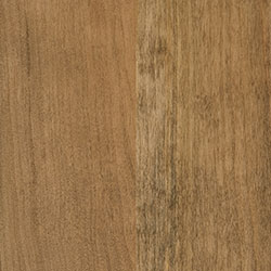 Sap Cherry - PCL Amaretto (D22N13209)