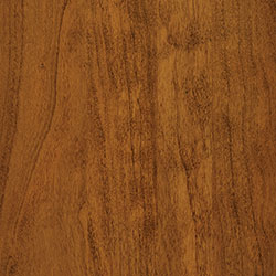 Sap Cherry - PCL Golden Pecan (D22N11680)