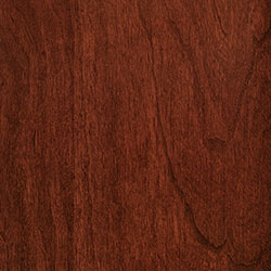 Sap Cherry - PCL Scarlet (D22N11692)