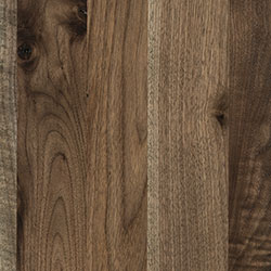 Walnut - PCL Bel Air (D22N11673)